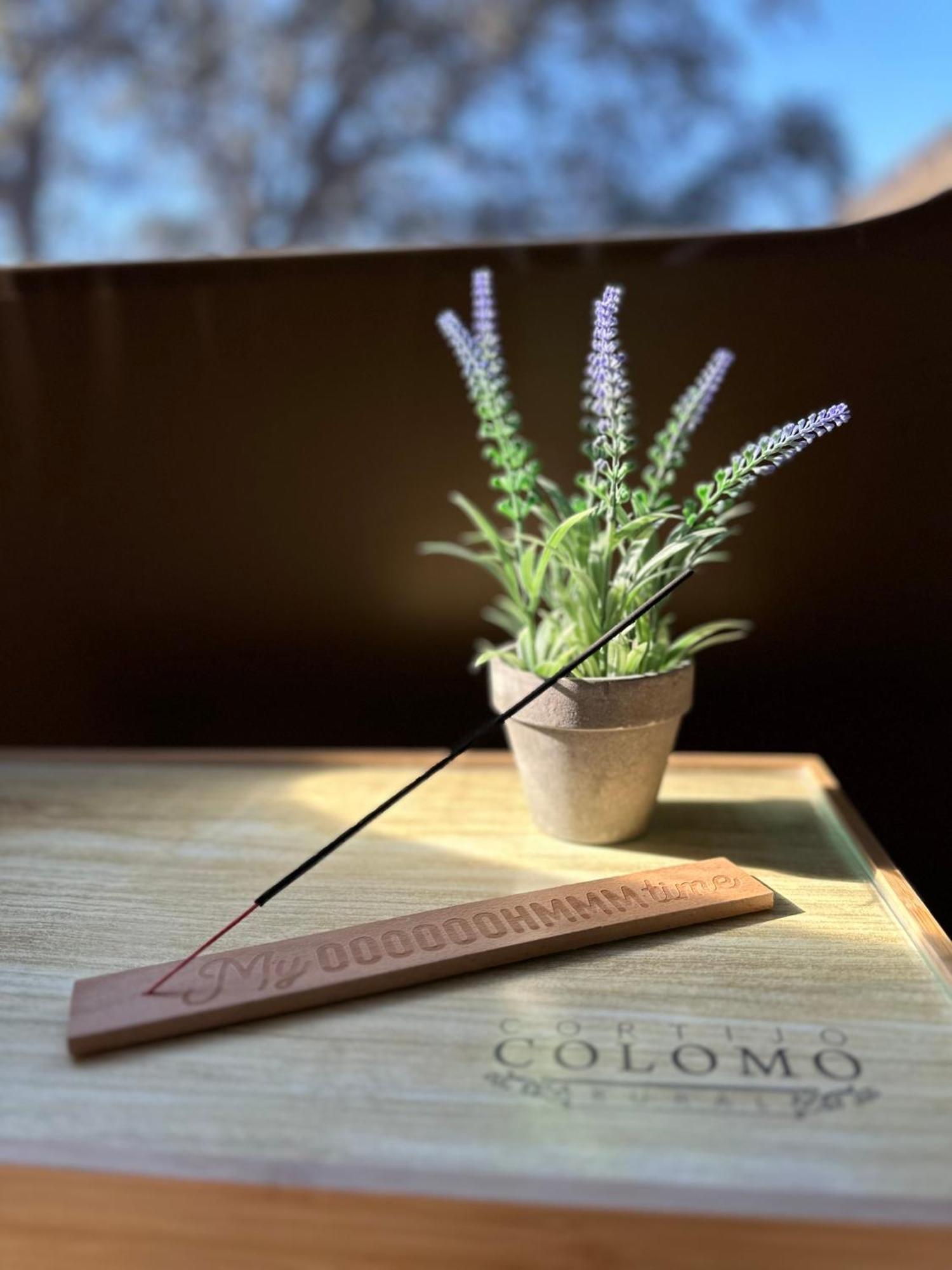 Almedinilla Suite 19 Bubble By Cortijo Colomo מראה חיצוני תמונה